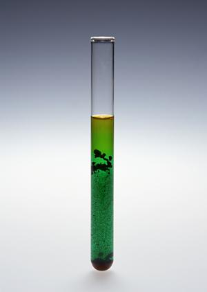 失った歯の治療法と高崎市の歯医者の特化する治療